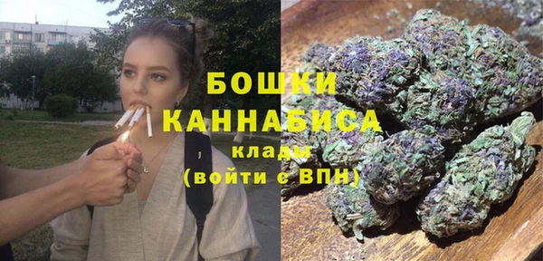 шишки Верхний Тагил