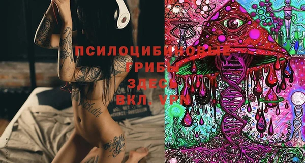 шишки Верхний Тагил