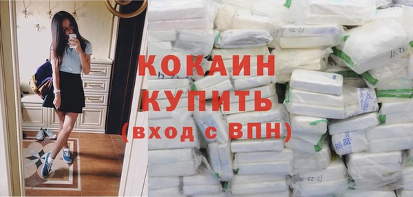 шишки Верхний Тагил