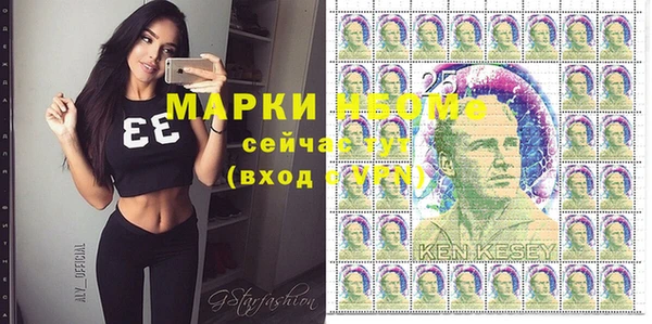 шишки Верхний Тагил
